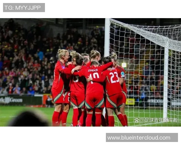 女足荷兰对阵瑞典精彩比分揭晓赛场激烈对抗引人关注